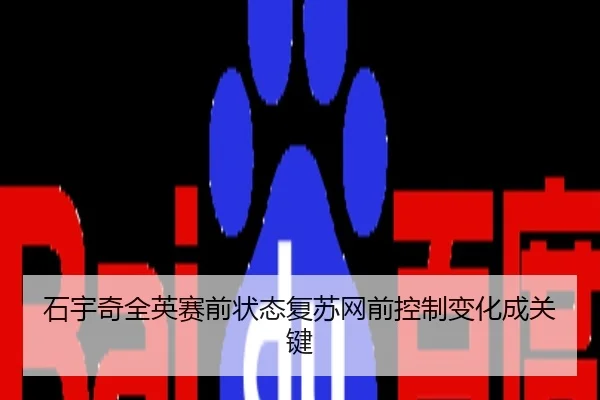 石宇奇全英赛前状态复苏网前控制变化成关键
